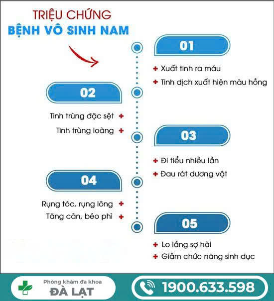 Hình ảnh minh họa